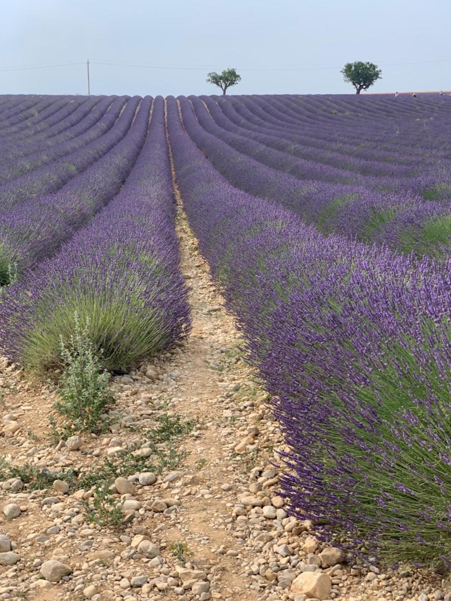 Studios Nuitee En Provence 엑상프로방스 외부 사진