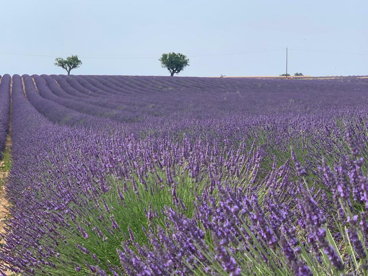 Studios Nuitee En Provence 엑상프로방스 외부 사진